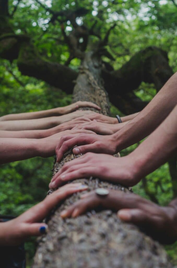A group of people holding a tree