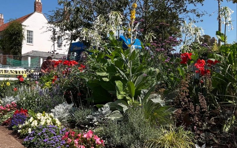 An image of a flower bed with St Dunstan's House in the background