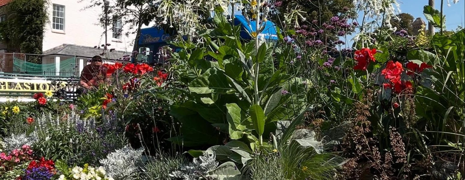 An image of a flower bed with St Dunstan's House in the background
