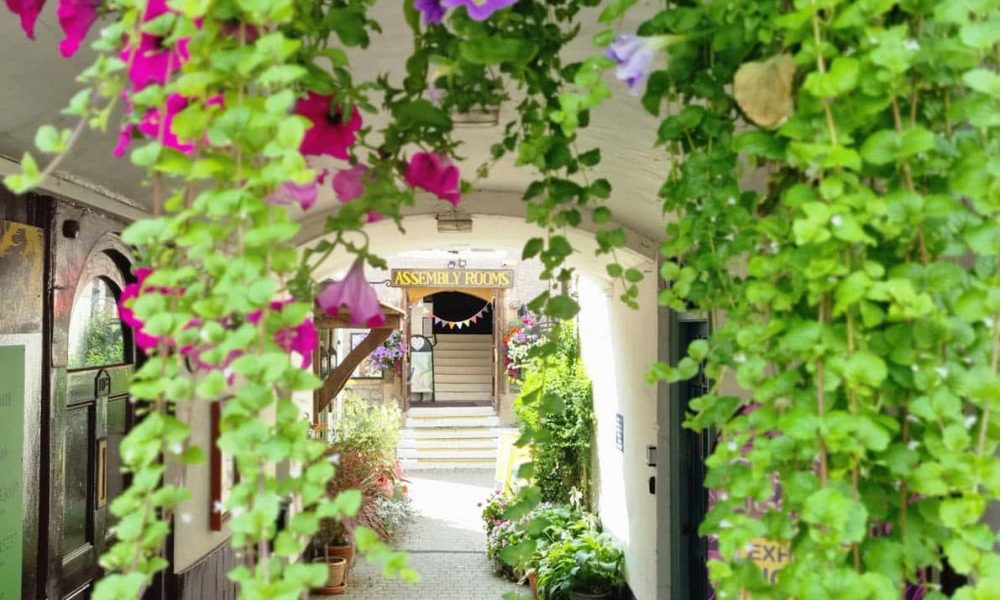 Newsletter-bannerr-flowers