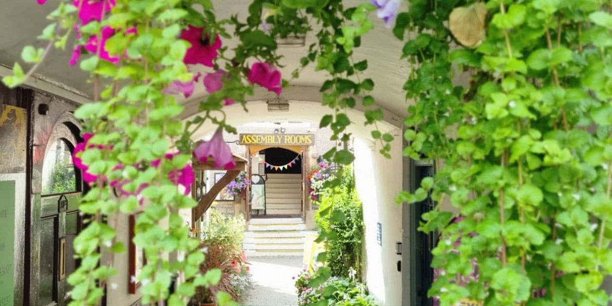 Newsletter-bannerr-flowers
