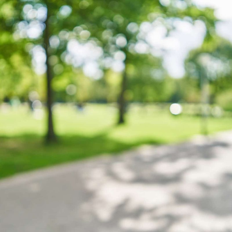 Blurred background of park