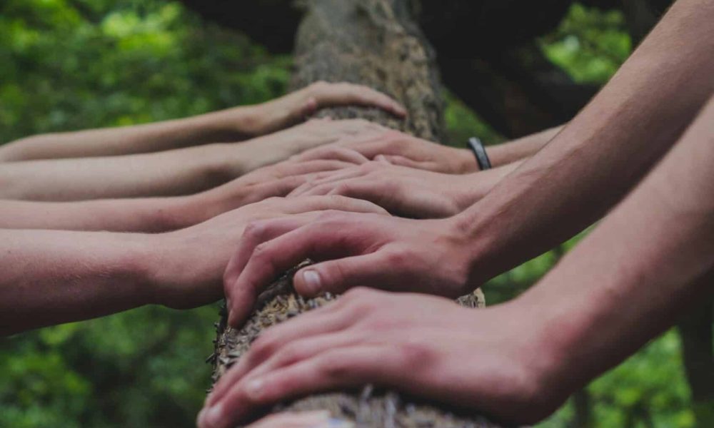 A group of people holding a tree
